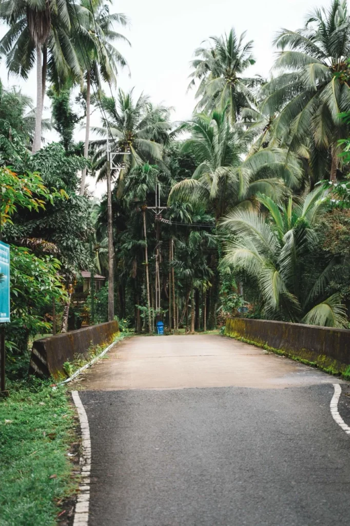 Eine Straße mitten im Dschungel in der Thailand Regenzeit.