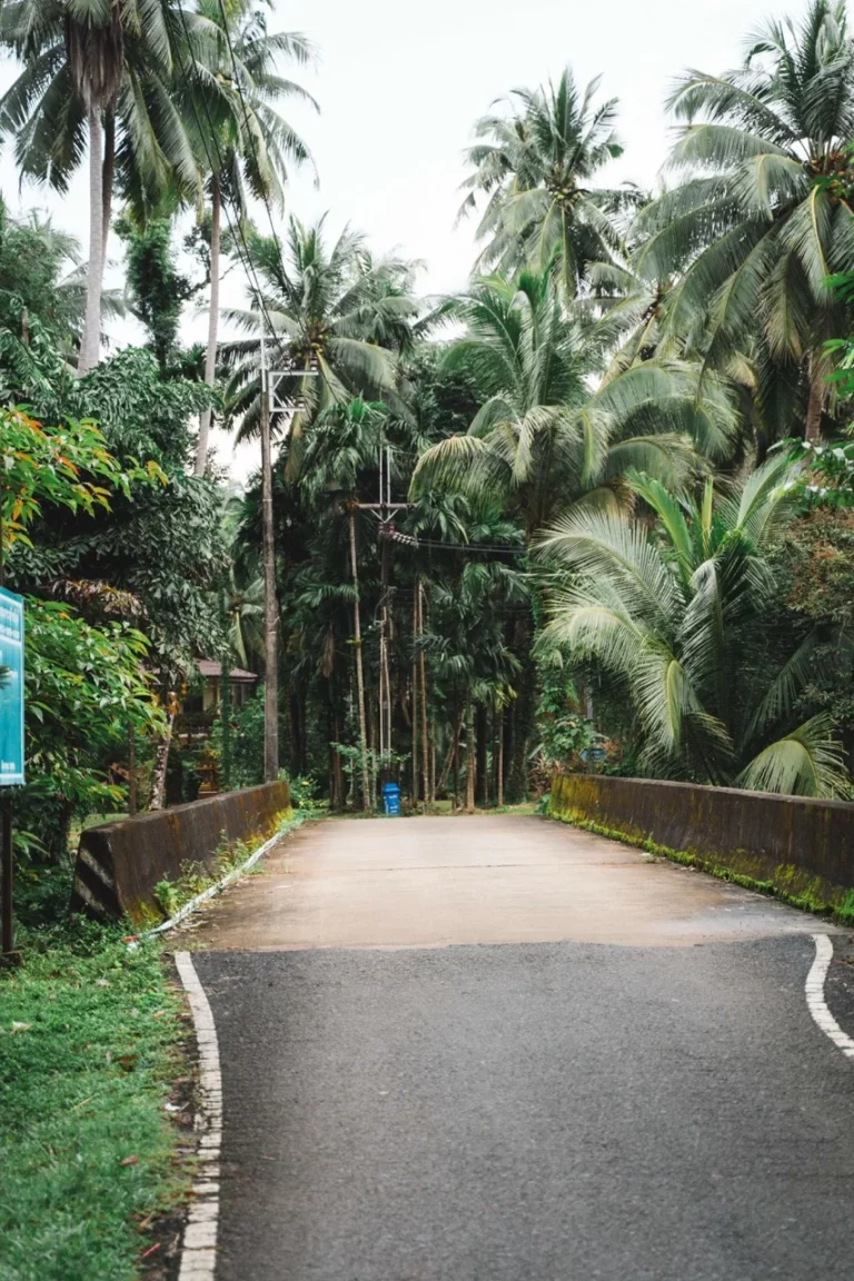 Eine Straße mitten im Dschungel in der Thailand Regenzeit.