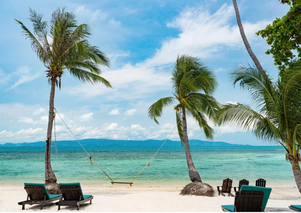 Strand mit Palmen auf Koh Phangan, ruhige Atmosphäre und türkisblaues Meer, ideal für Thailand Urlaub