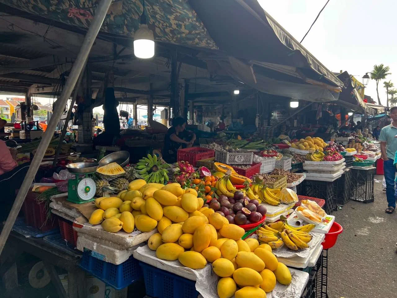 Lebhafter Markt in Vietnam mit Mangos und Bananen unter auf einer Vietnam Reise.