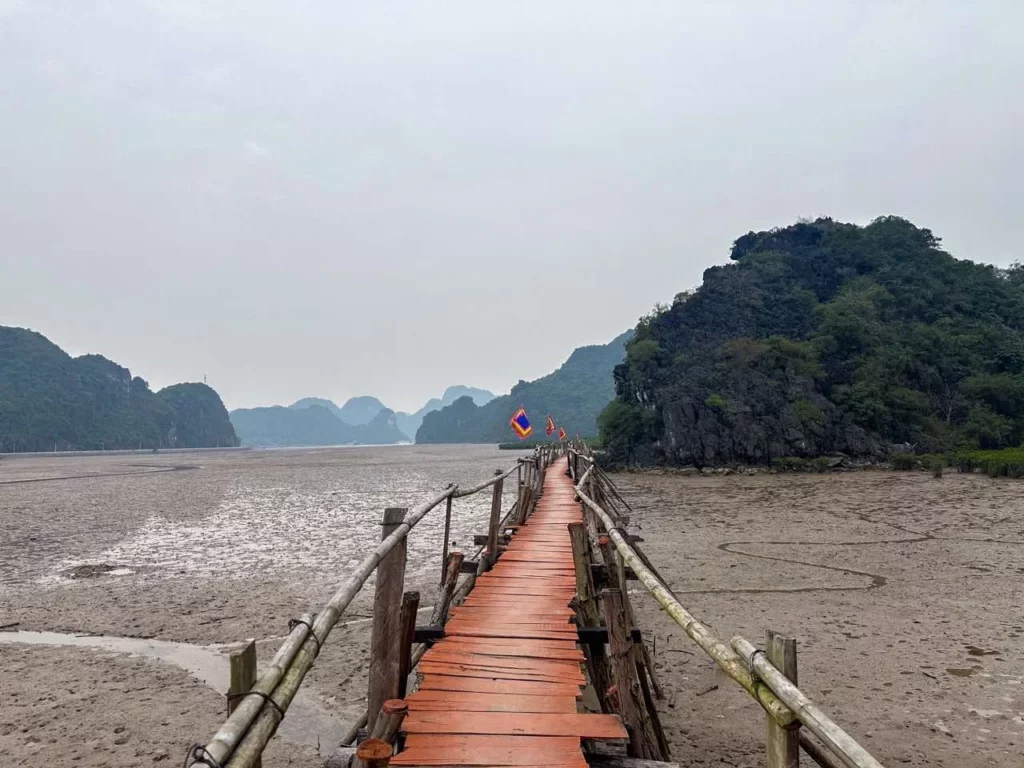 Cat Ba Island im Nationalpark an der Halong Bay Vietnam