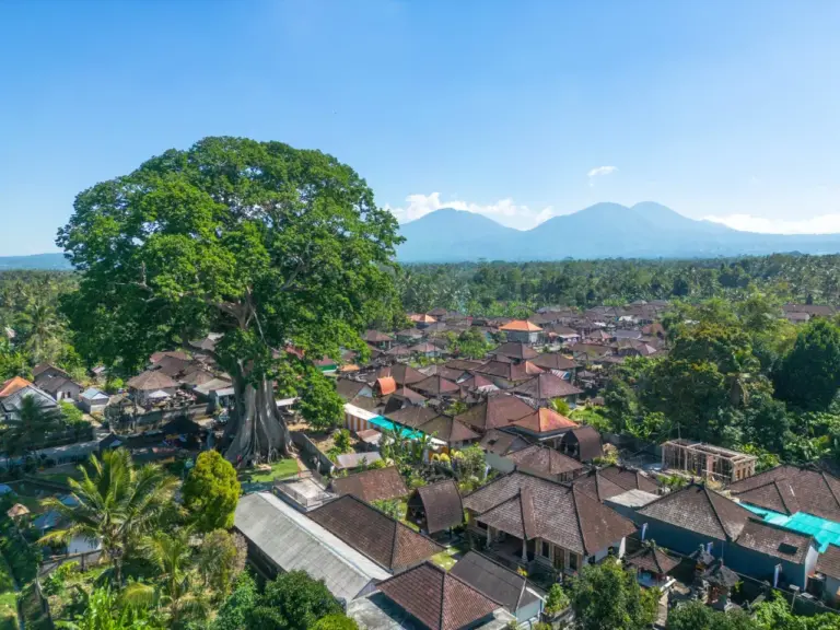 Atemberaubende Luftaufnahme eines Dorfes auf Bali mit einem vielen Bäumen, Reisfeldern und Blick auf einen Vulkan im Hintergrund.