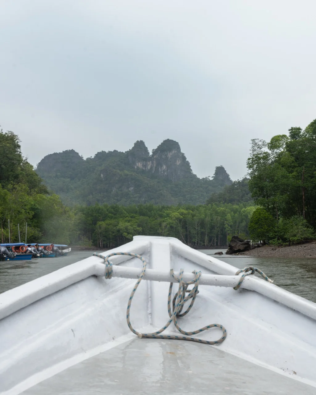 Blick vom Boot auf die Karstfelsen im Kilim Geopark auf Langkawi