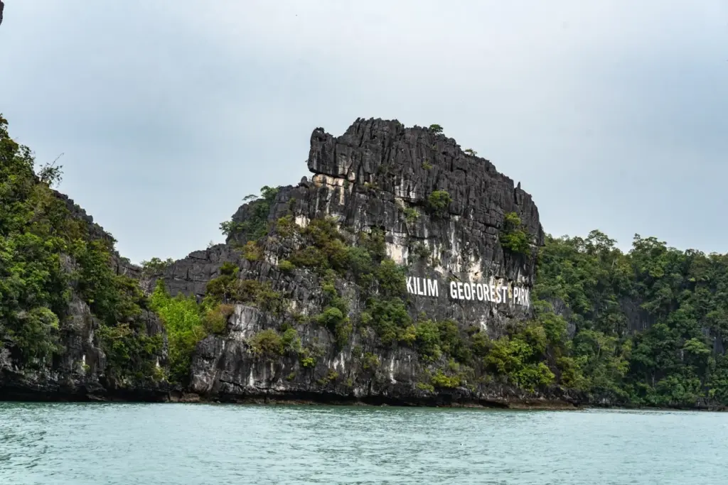 Aufnahme im Kilim Geoforest Parks in Malaysia, umgeben von üppigem Grün und ruhigem Wasser auf einer Bootstour durch die Mangroven auf Langkawi.