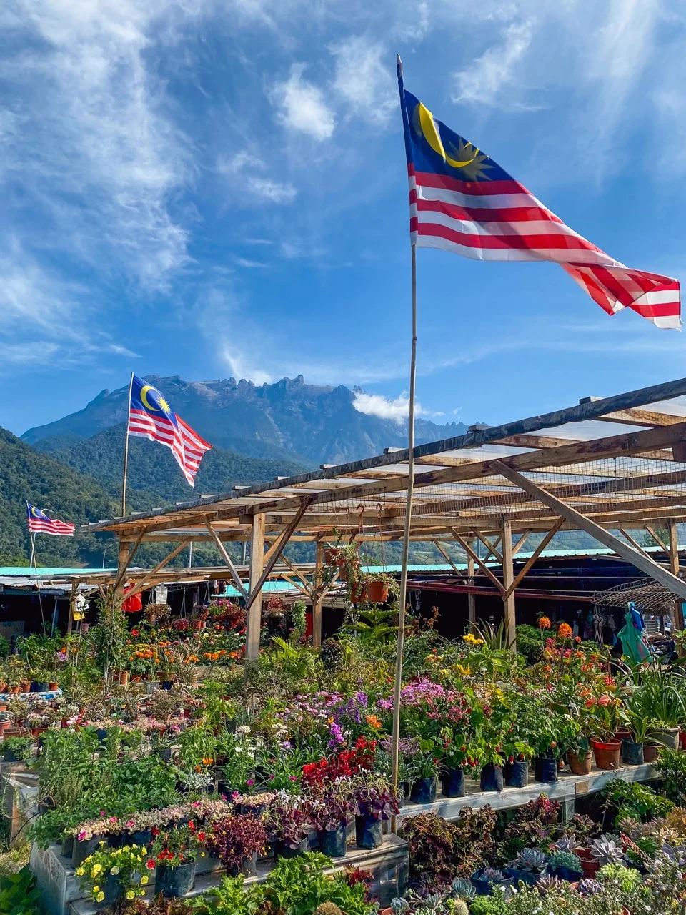 Blumenmarkt vor dem Mount Kinabalu in Kundasang