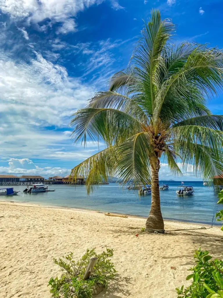 Ein Paradies Strand auf der Insel Mabul im Osten von Borneo mit einer Palme und ruhigem Wasser, einer der schönsten Orte beim Malaysia Backpacking.
