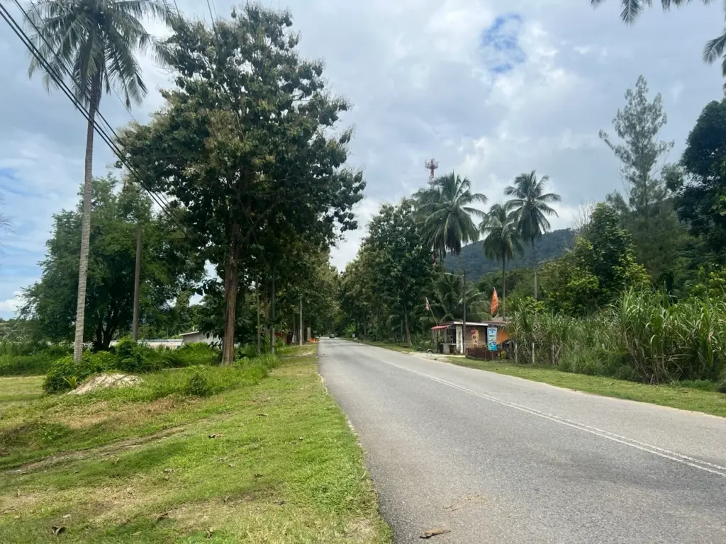 Eine ruhige Straße mit vielen Bäumen auf der Insel Langawki in Malaysia.