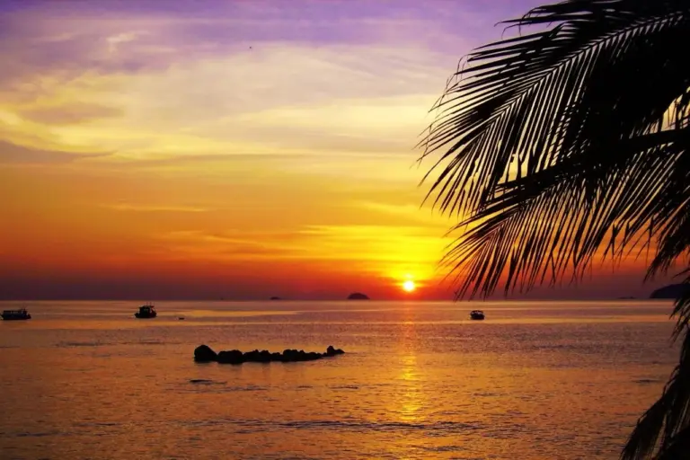 Ein atemberaubender Sonnenuntergang über dem Meer mit Palmen im Vordergrund auf der Insel Tioman im Osten Malaysias.