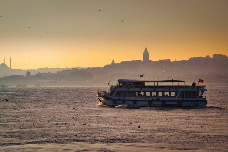 Die Skyline von Istanbul leuchtet, während bei Sonnenuntergang eine Fähre den Bosporus durchquert und in der Nähe Vögel kreisen.
