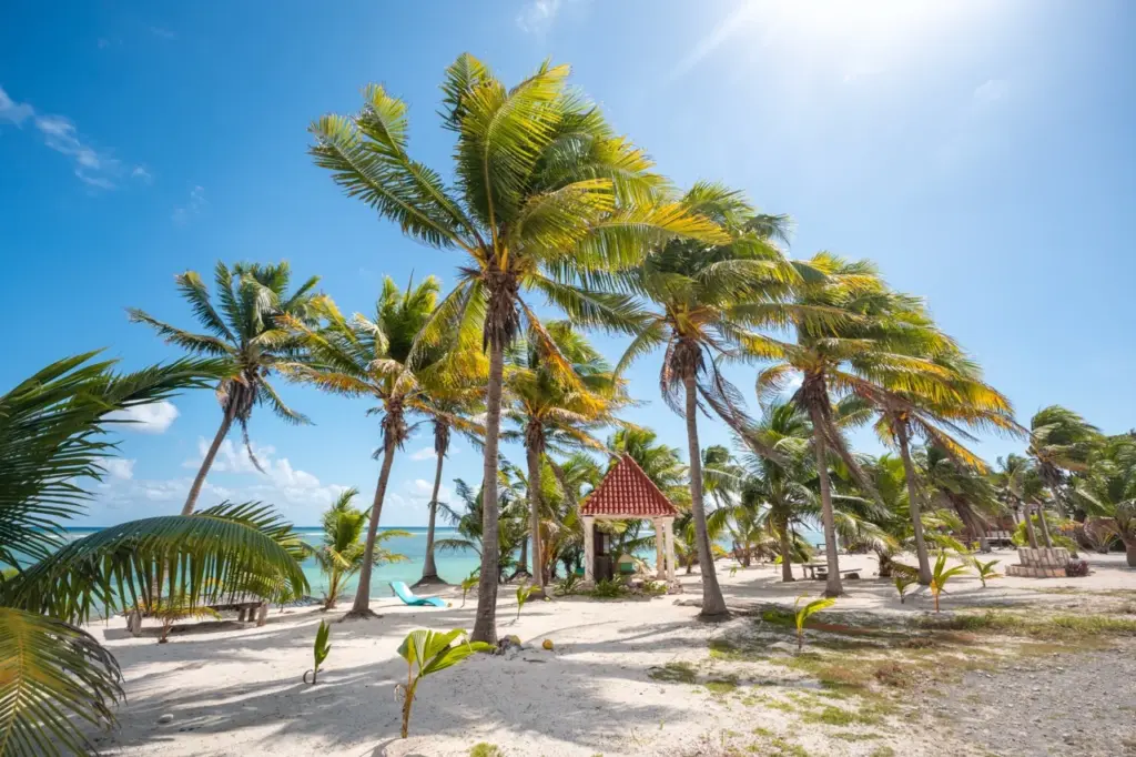Sonniger Yucatan-Strand mit sich wiegenden Palmen, Hängematten und einem Pavillon in der Nähe des türkisfarbenen karibischen Wassers.