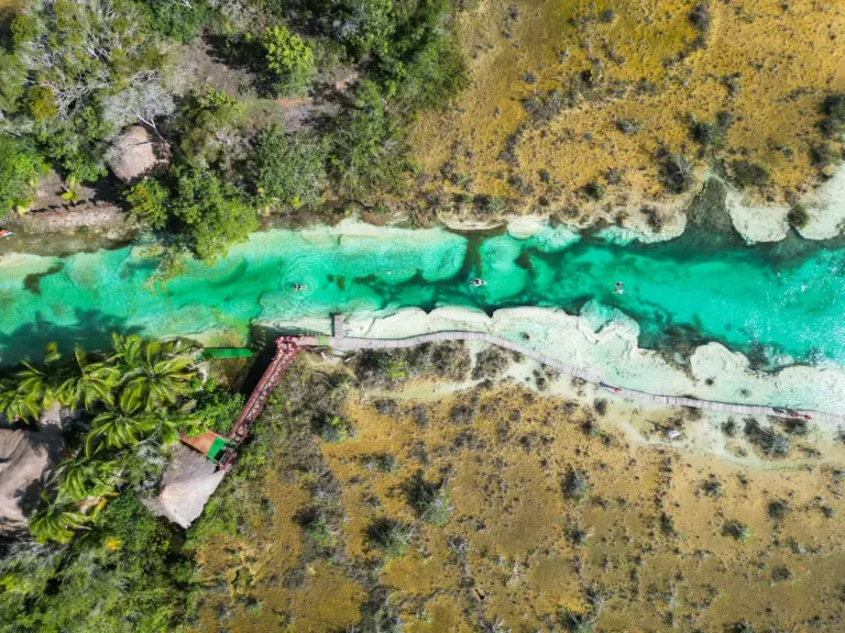 Luftaufnahme eines türkisfarbenen Flusses, der sich durch die üppige Landschaft von Yucatan in Mexiko schlängelt.