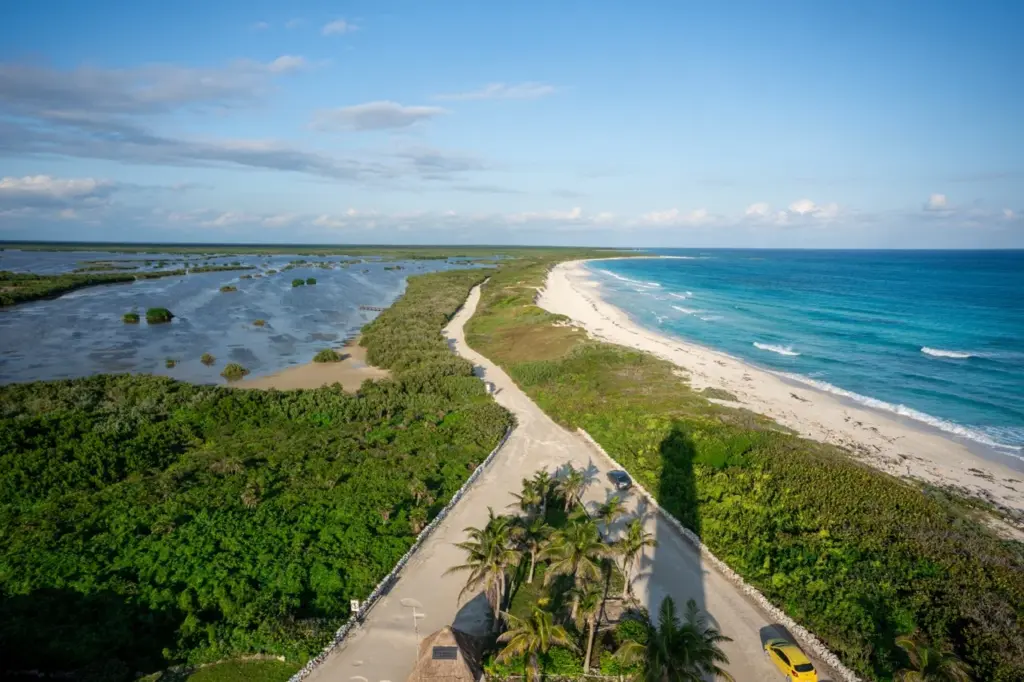 Eine Sandstraße verläuft zwischen üppigen grünen Pflanzen und einem strahlend weißen Strand auf der sonnigen Halbinsel Yucatan.