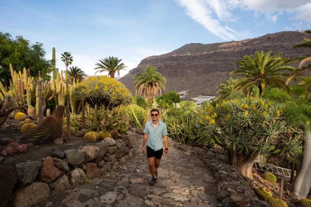 Jonathan auf einem Steinweg in einem Kaktusgarten mit Palmen, Bergen und der Landschaft Gran Canarias.