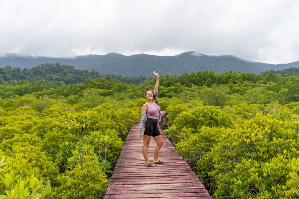 Koh Chang Mangroven Wald