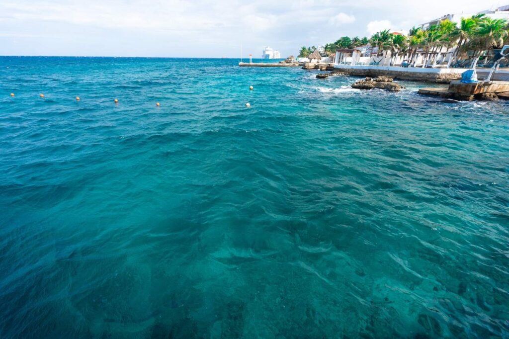 Tuerkisblaues Meer an der Kueste von Cozumel mit Kreuzfahrtschiff und Palmen