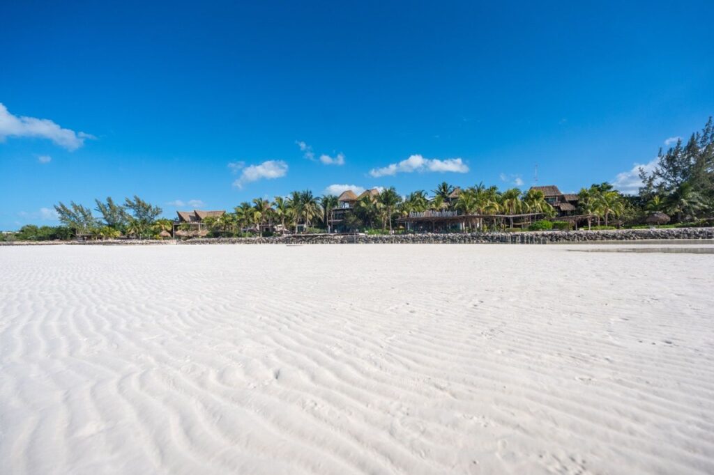 Weisser Sandstrand mit Palmen und Strandhotel auf Holbox