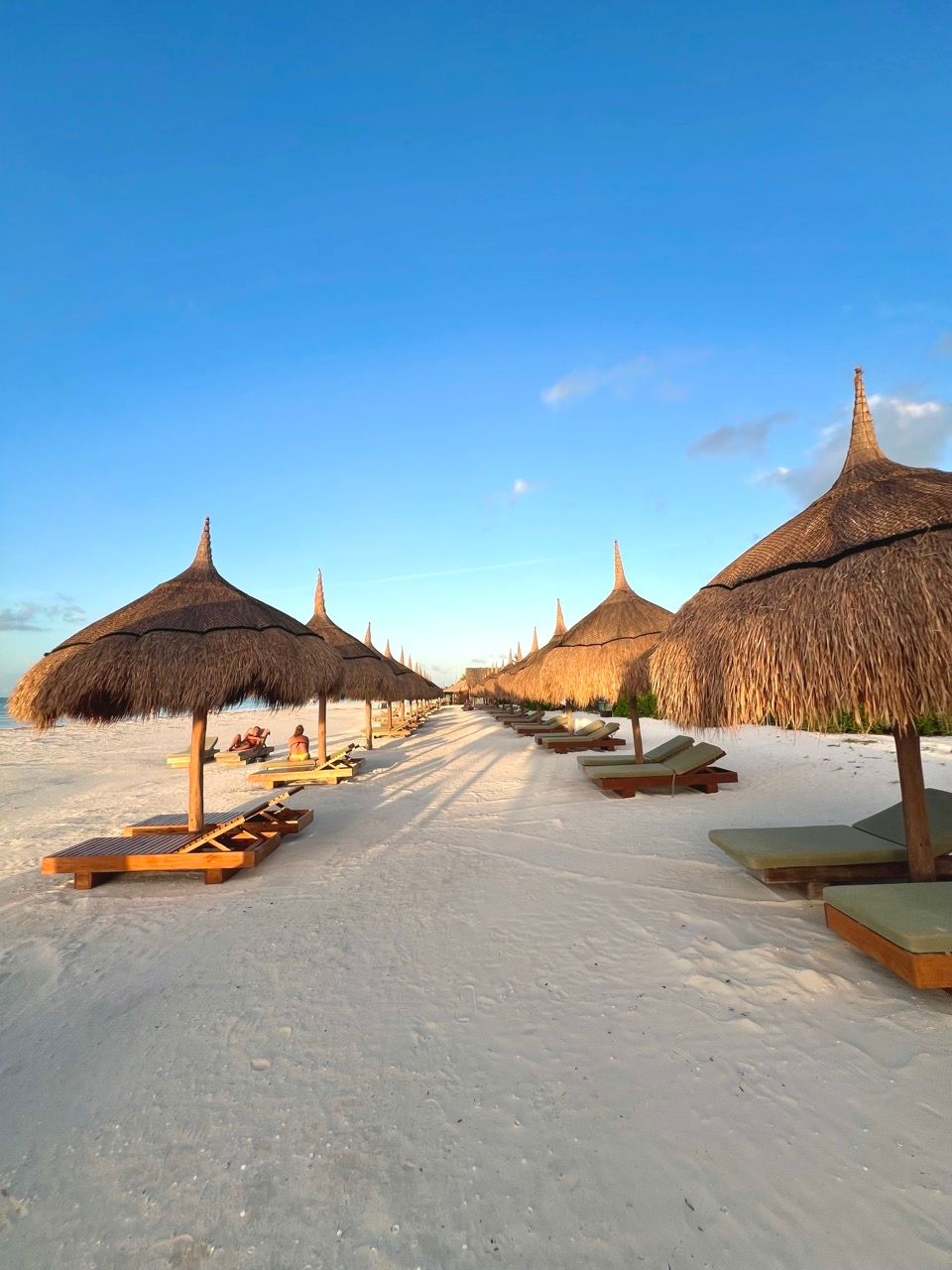 Reihe von Palapa-Schirmen und Liegen am weissen Strand von Holbox