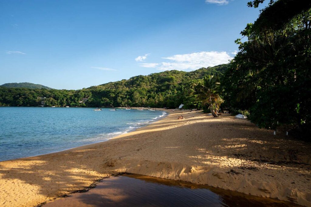 Türkise Bucht mit Dschungel auf Ilha Grande