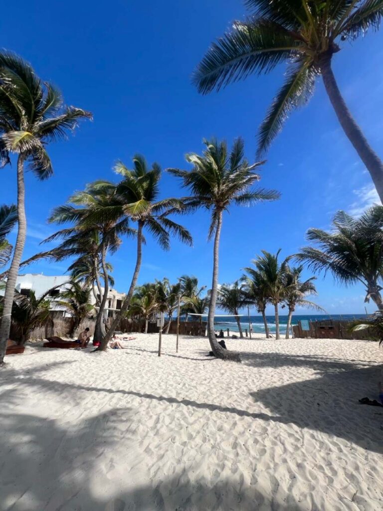 Palmen am weissen Sandstrand unter blauem Himmel auf Isla Mujeres