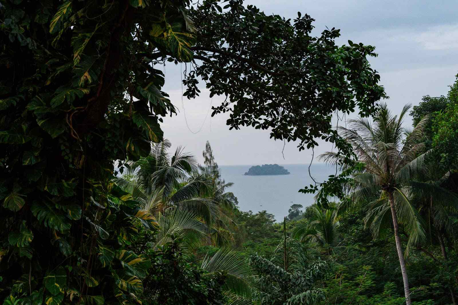 Infinity-Pool mit Blick über den Dschungel und das Meer auf Koh Chang