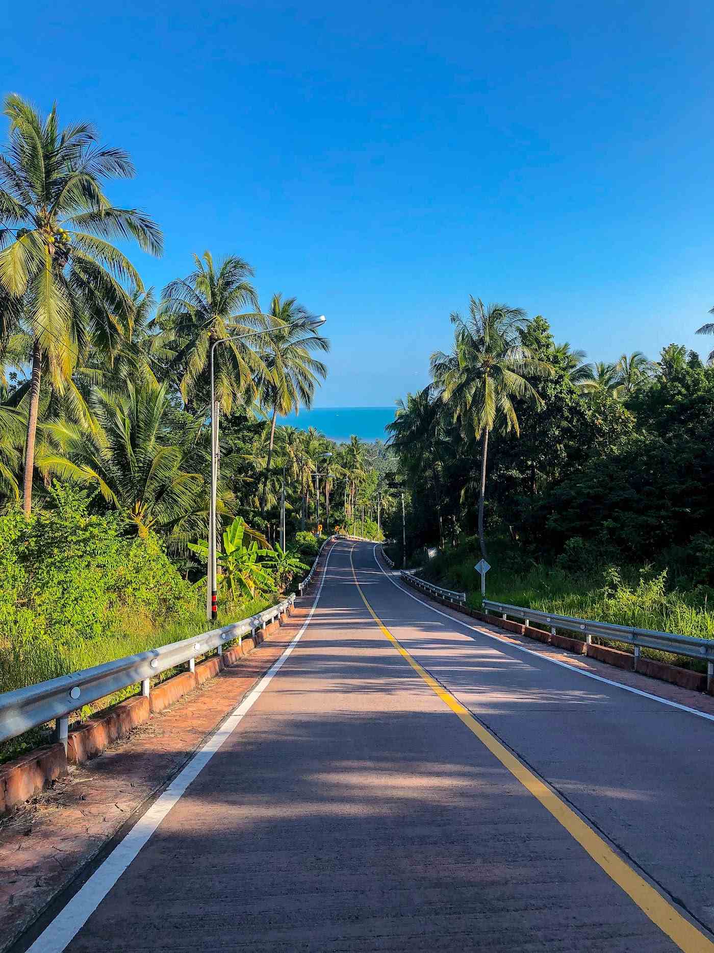 Leere Straße durch den Dschungel auf Koh Phangan zum Rollerfahren