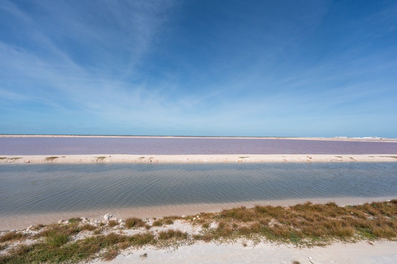 Pinke Salzlagune von Las Coloradas bei Río Lagartos in Yucatán
