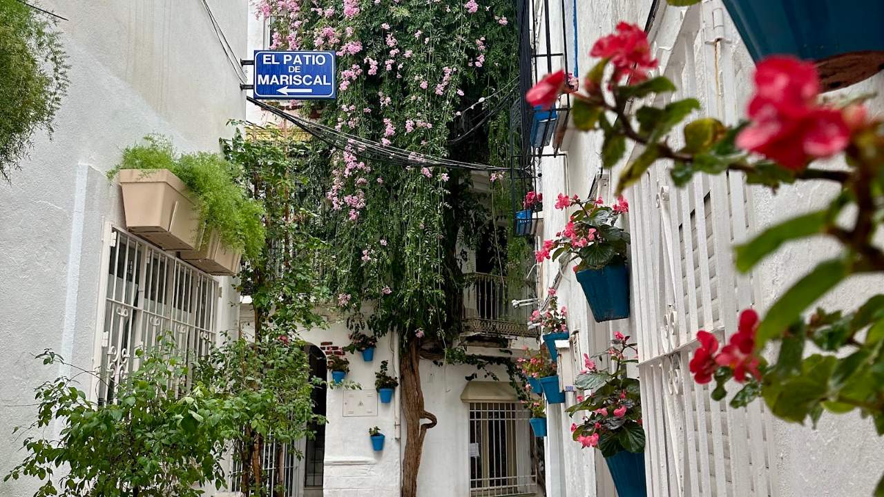 Weiße Gasse mit Blumen in der Altstadt von Marbella