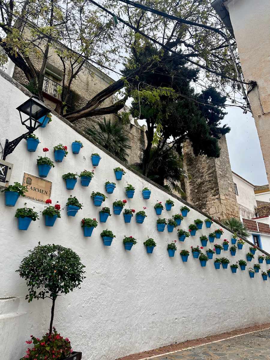 Marbella Sehenswürdigkeiten: Treppe mit blauen Blumentöpfen in der Altstadt