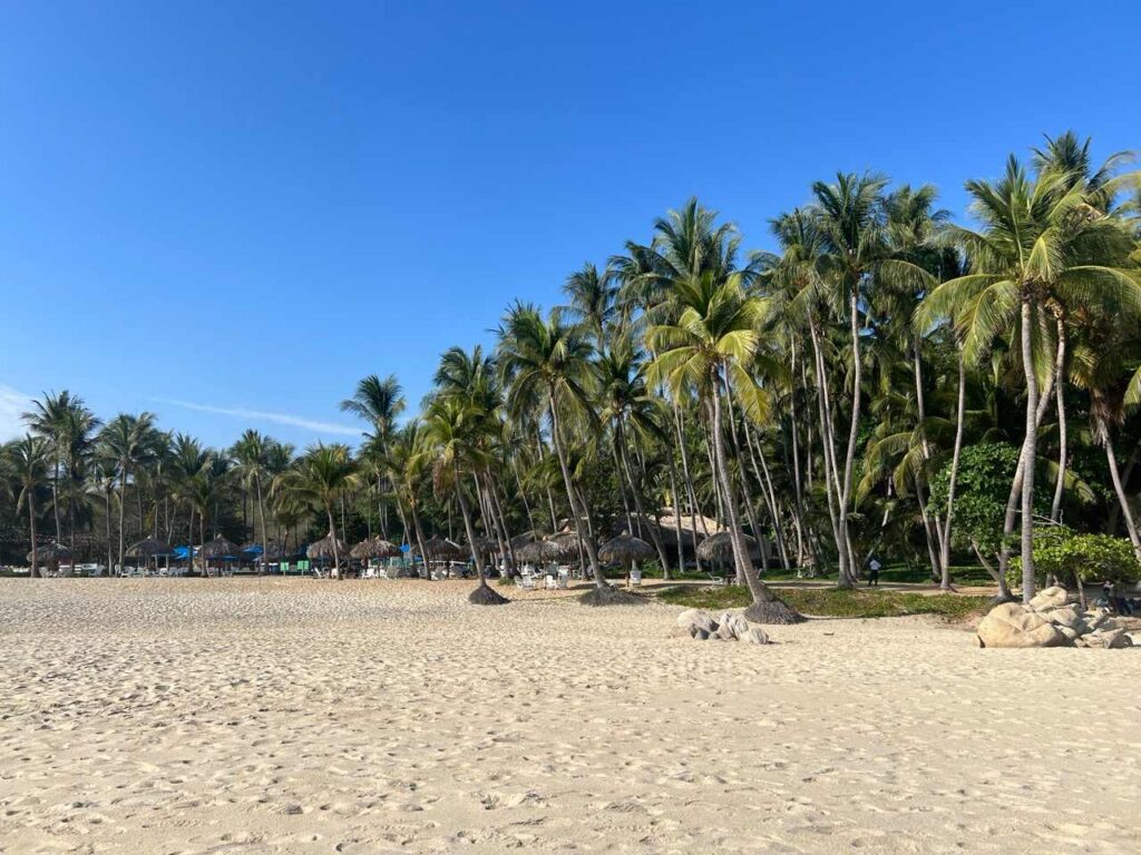 Strand mit Kokospalmen und Palapa-Schirmen in Puerto Escondido