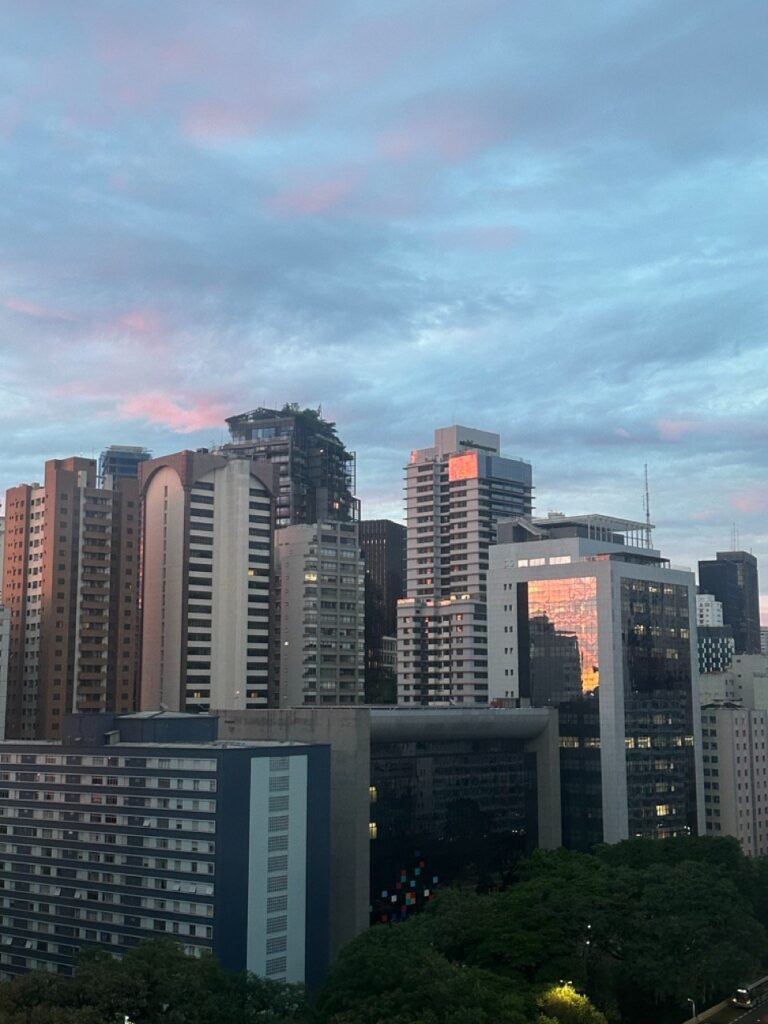 Skyline von São Paulo in der Abenddämmerung