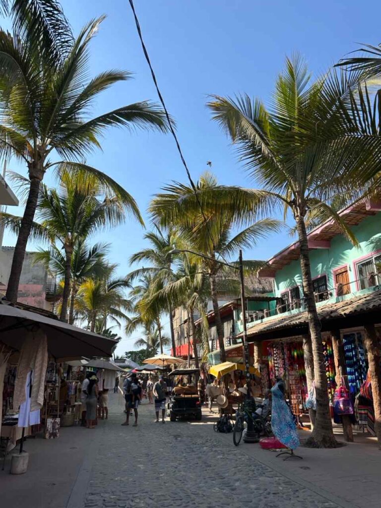 Palmengesäumte Hauptstraße von Sayulita mit Marktständen und bunten Häusern