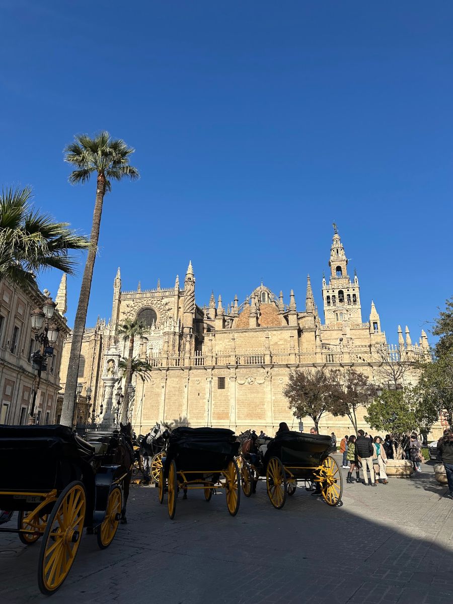 Kathedrale mit Pferdekutschen als eine der Sevilla Sehenswürdigkeiten