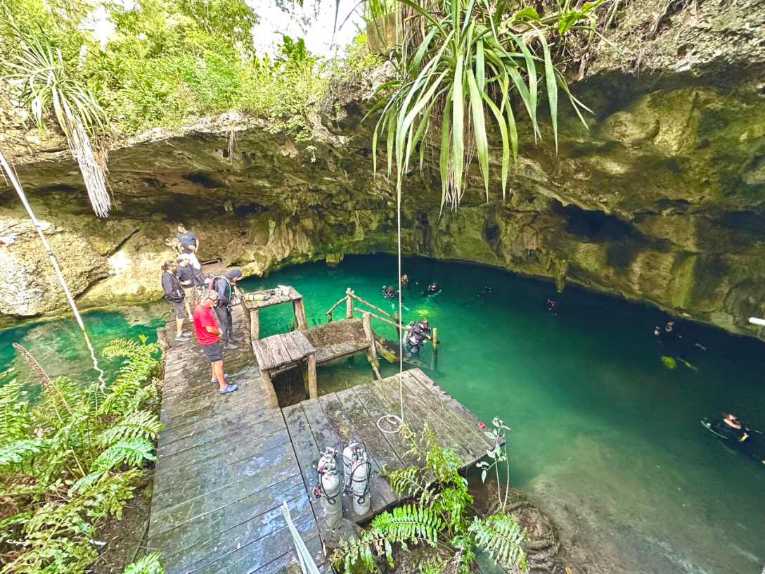 Cenote bei Tulum mit Tauchern am Holzsteg und gruenem Wasser im Dschungel