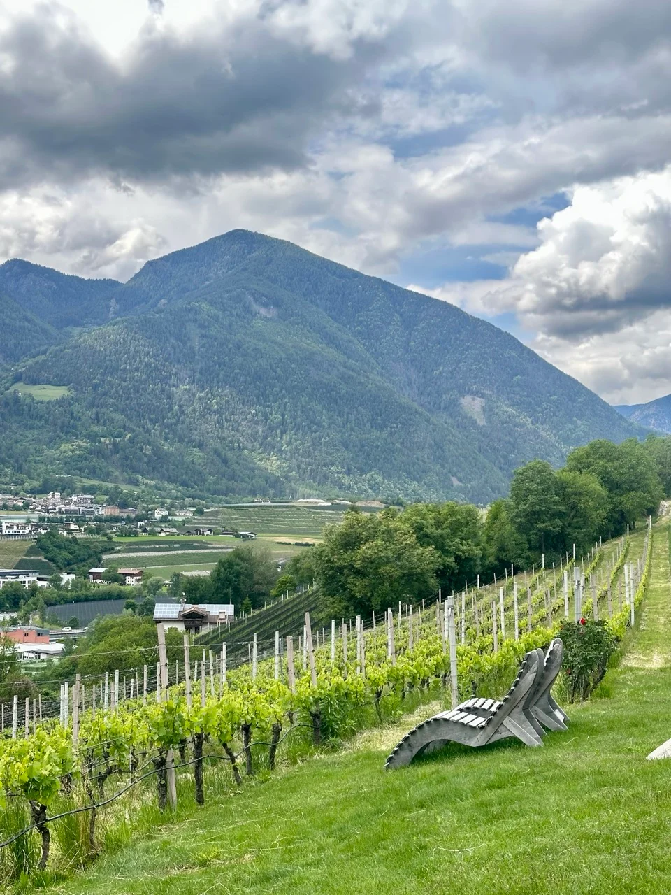 Weinberge über dem Etschtal
