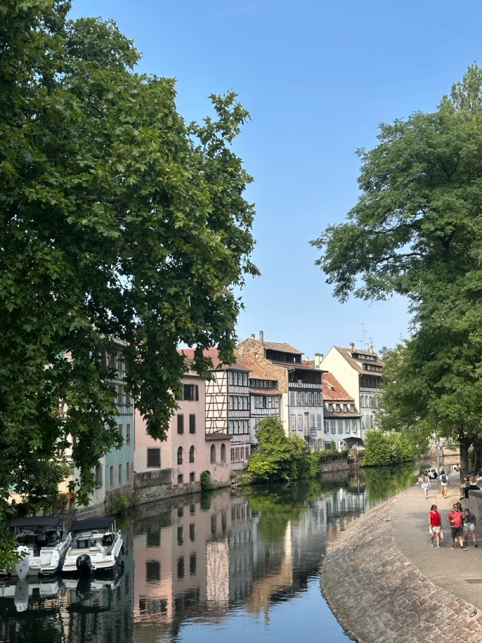 Kanal in Strassburg mit Baeumen und Altstadthaeusern