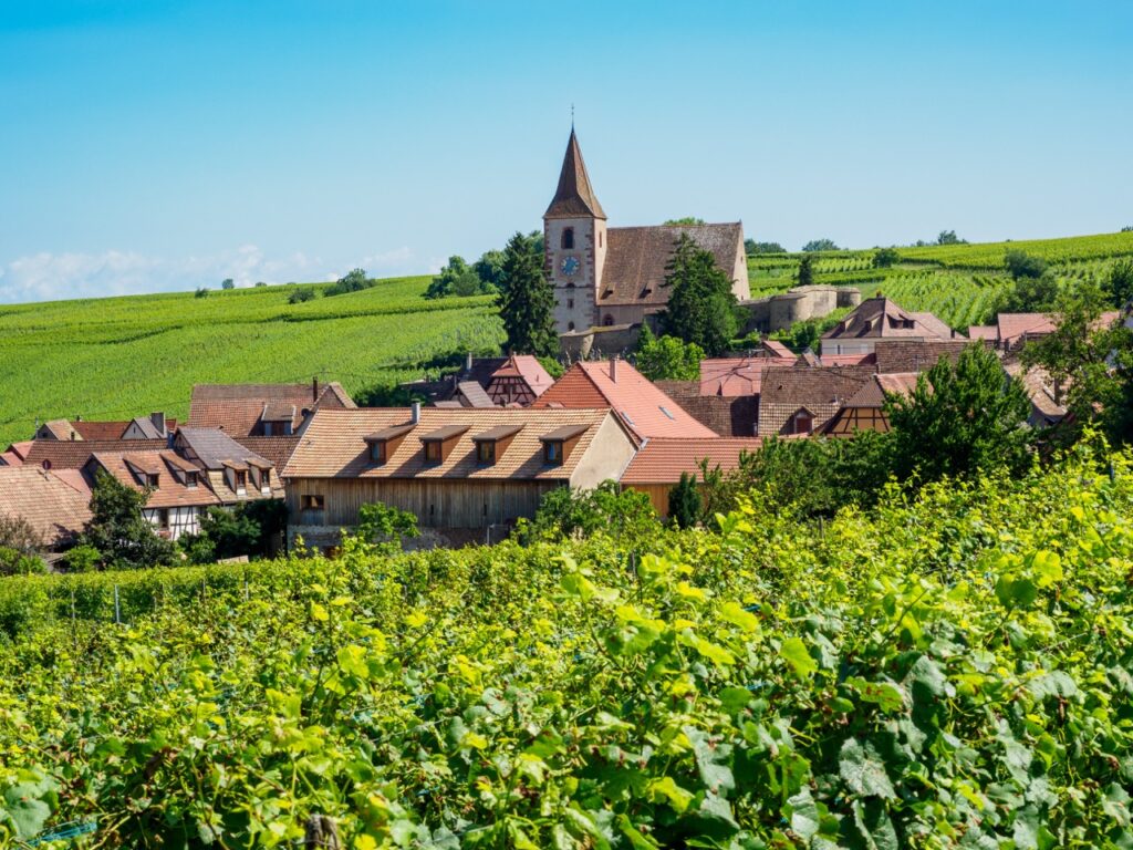 Das Weindorf Hunawihr im Elsass zwischen Weinbergen