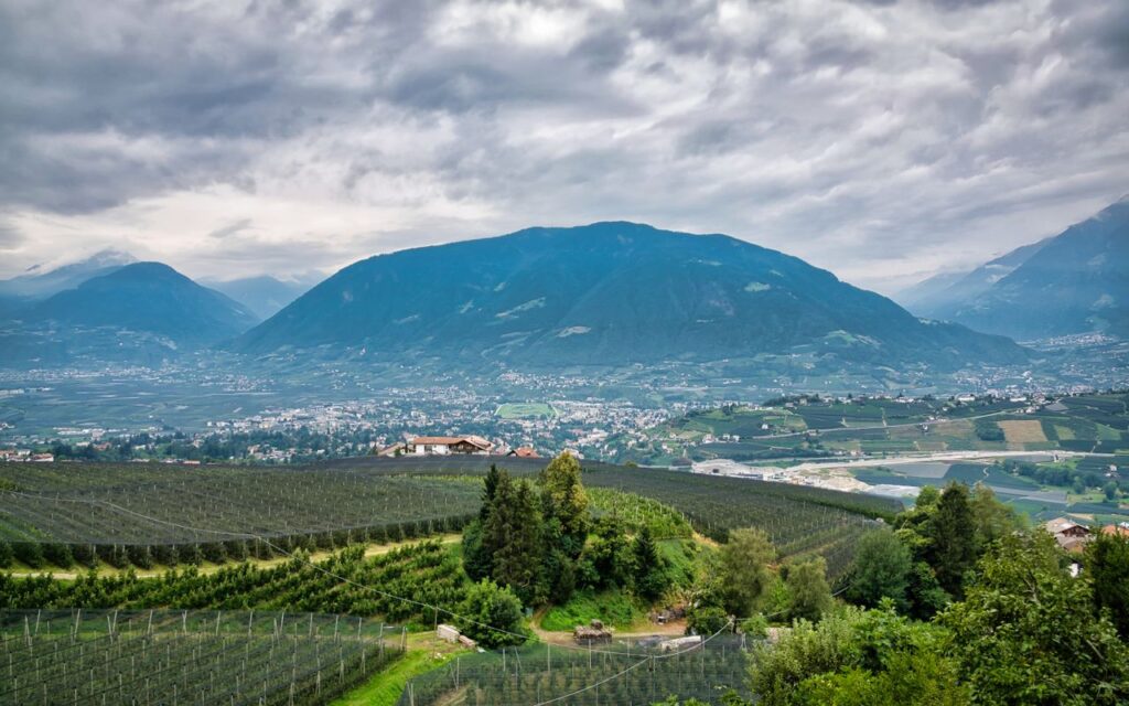 pexels-photo-38884216-38884216 Breathtaking landscape of Schenna's lush vineyards and majestic mountains under a cloudy sky.