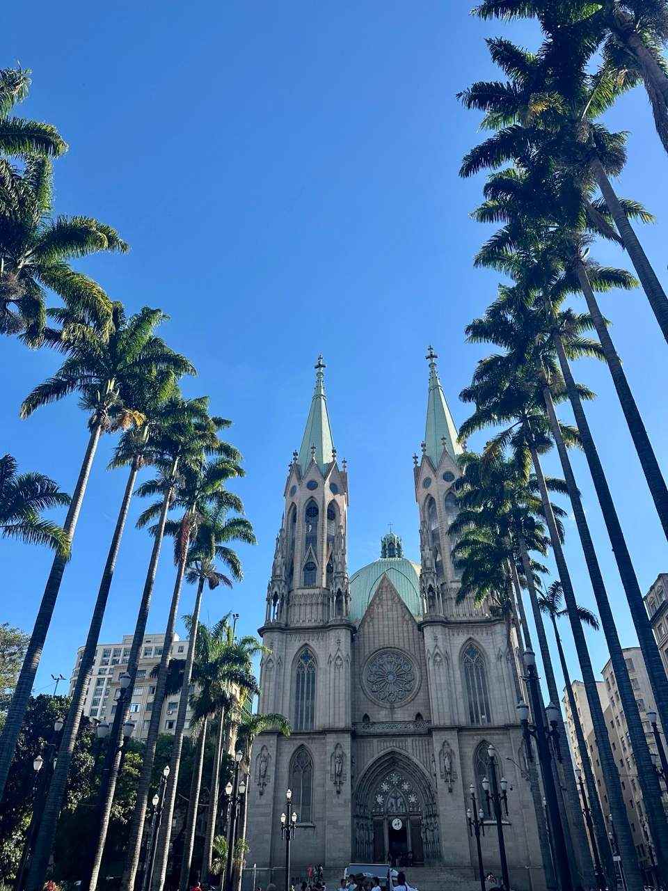 Catedral da Sé mit Palmen im Zentrum von São Paulo