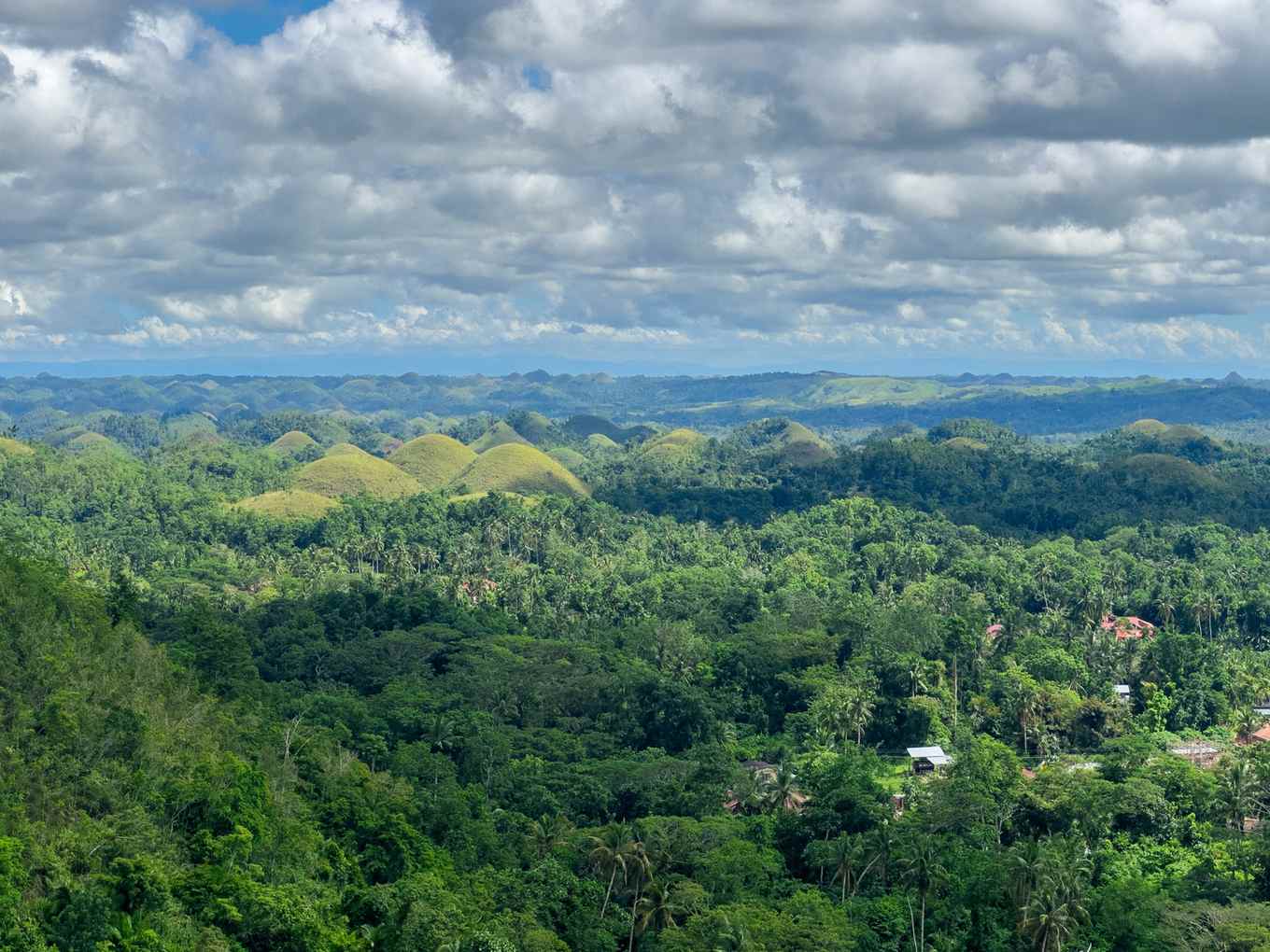 Chocolate Hills auf Bohol, Blick über die grünen Hügel