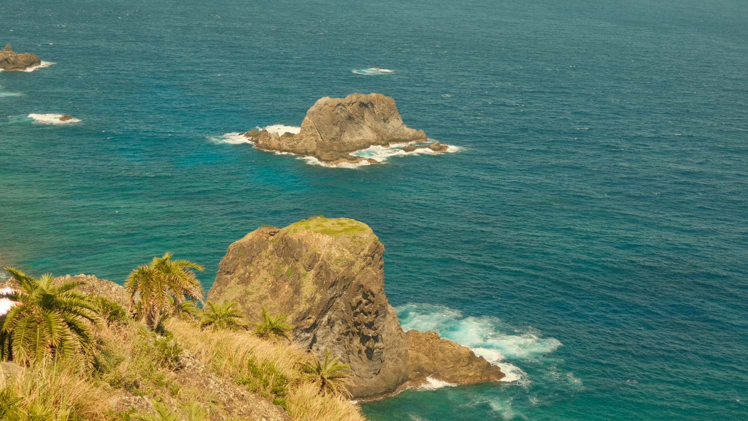 Felsen und Palmen an der türkisen Küste von Green Island Taiwan
