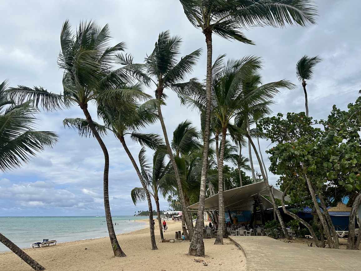 Graue Wolken und Wind über den Palmen von Las Terrenas am Nachmittag