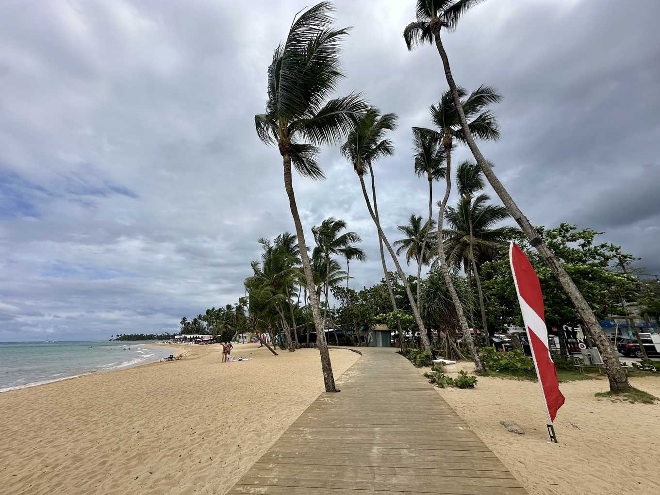 Palmen im Wind unter grauem Wolkenhimmel am Strand von Las Terrenas