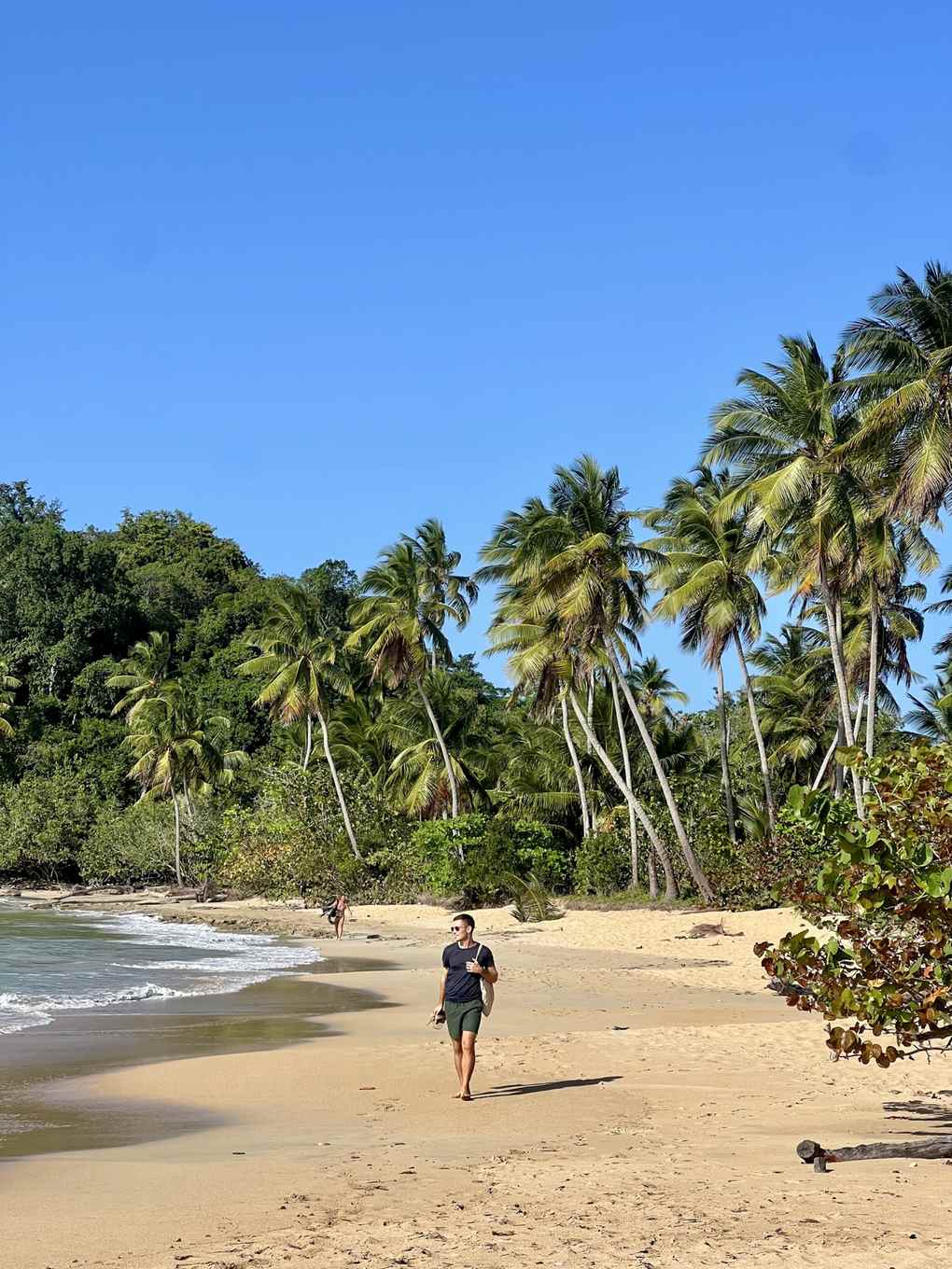 Palmen und goldener Sand an der Playa Bonita bei Las Terrenas