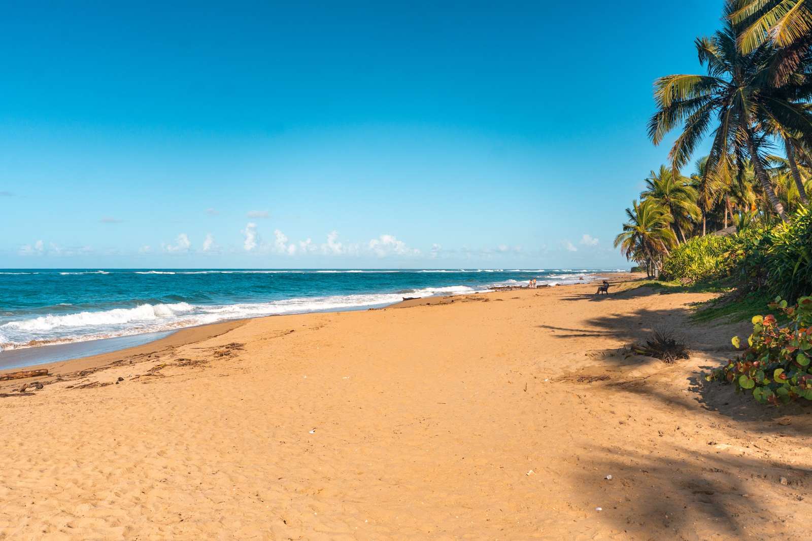 Palmenstrand an der Atlantikküste im Norden der Dominikanischen Republik