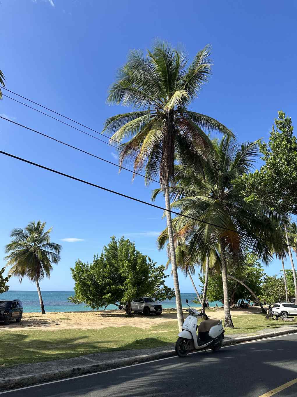 Roller an der Küstenstraße von Las Terrenas auf Samaná, Dominikanische Republik