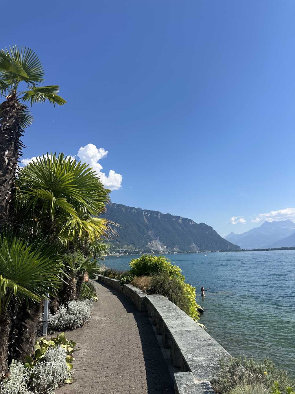 Seepromenade mit Palmen am Genfersee bei Montreux