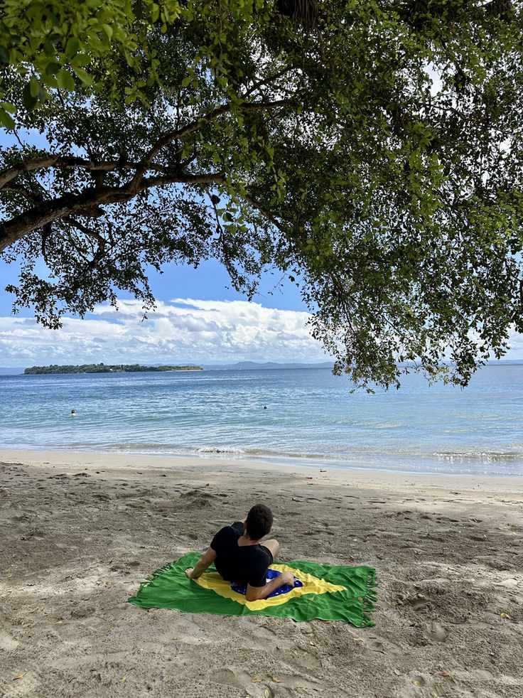 Strand unter Bäumen auf Cayo Levantado mit Blick über die Bucht von Samaná
