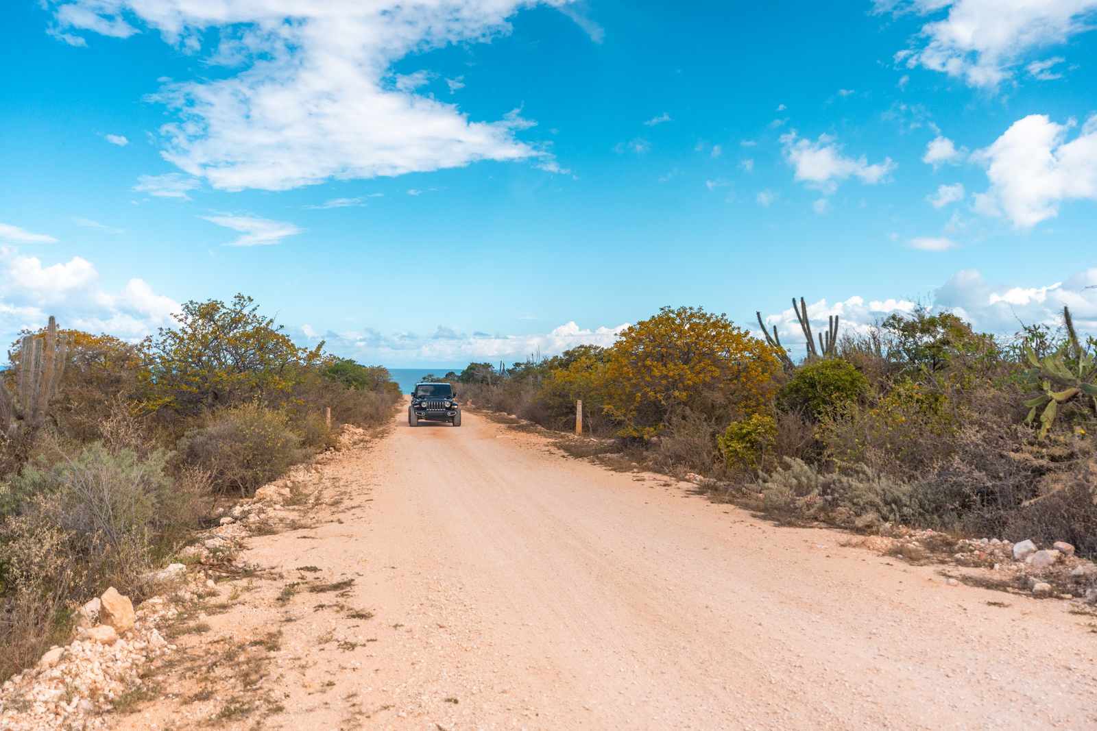 SUV auf der Schotterpiste zur Bahía de las Águilas